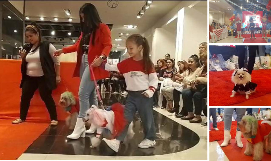 EXPO PET 1ra Edición  CON GRAN ÉXITO