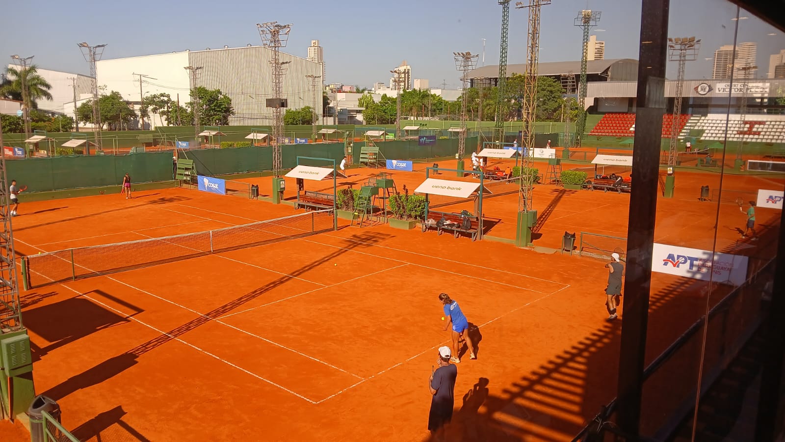 Los paraguayos destacados que triunfaron son: